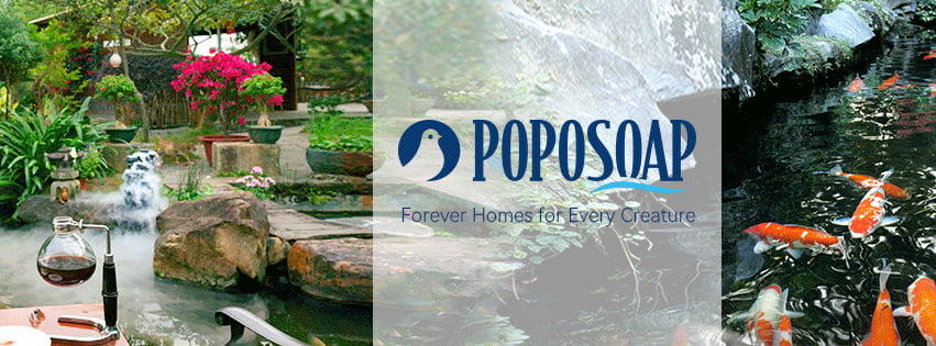 Poposoap Cover Image