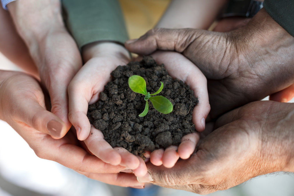 Book Ayurvedic Consultation in Montreal | Personalized Natural Healing