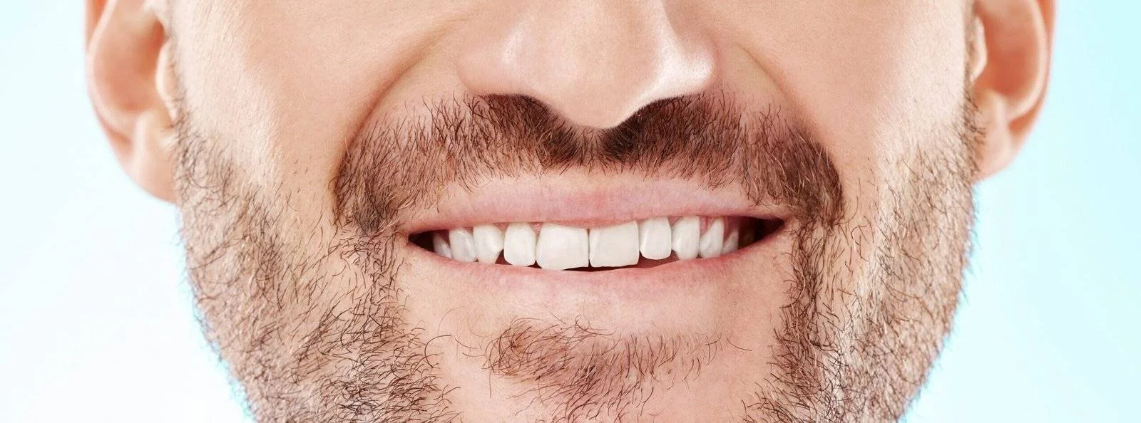 Potter Dental Cover Image