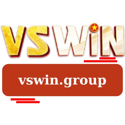 vswin group Profile Picture
