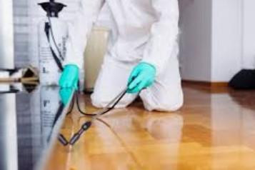 Biohazard Cleaning Services’ Professional Pest & Loft Cleaning: Restoring Safe, Clean Environments – Site Title
