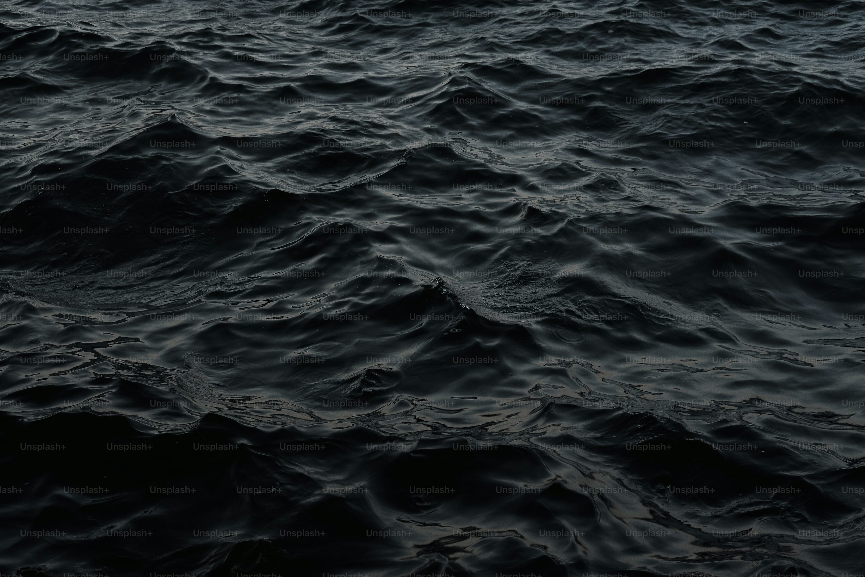 Edward Smith Cover Image