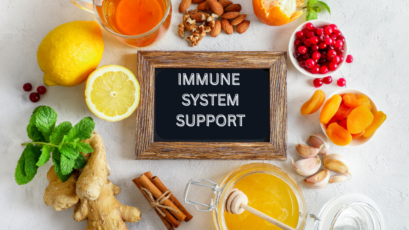 Immune System Support: Full Health Guide