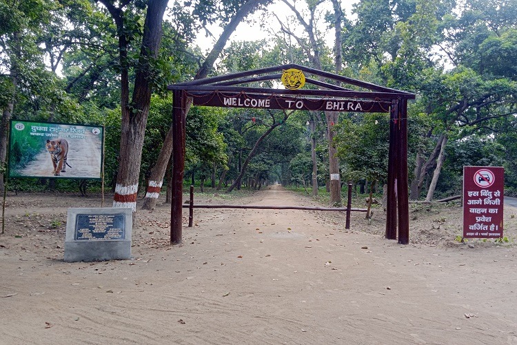 Dudhwa | Padaria Beat Bhira Range Jungle Safari