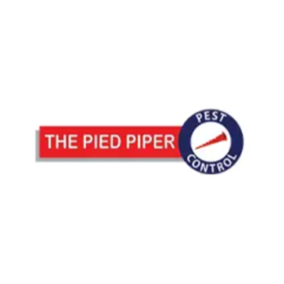 thepiedpiperweb Profile Picture