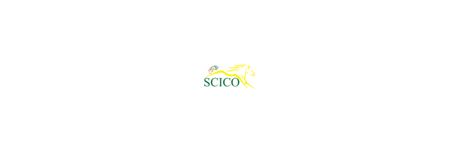 SCI CO Cover Image