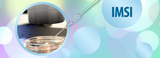 IMSI in Nepal – The Best fertility treatment to achieve the successful pregnancy - Fertility Centre Nepal