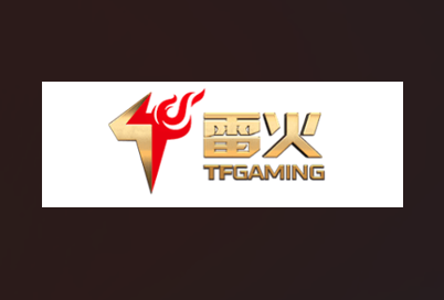 tfgamingtop2 Profile Picture