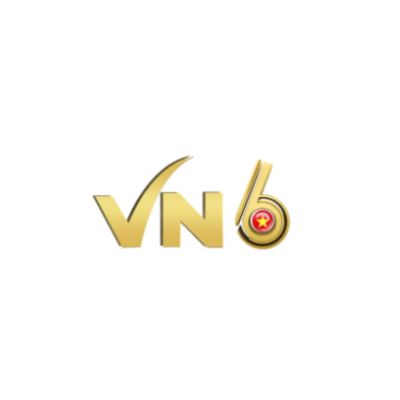 Vn 6pro Profile Picture