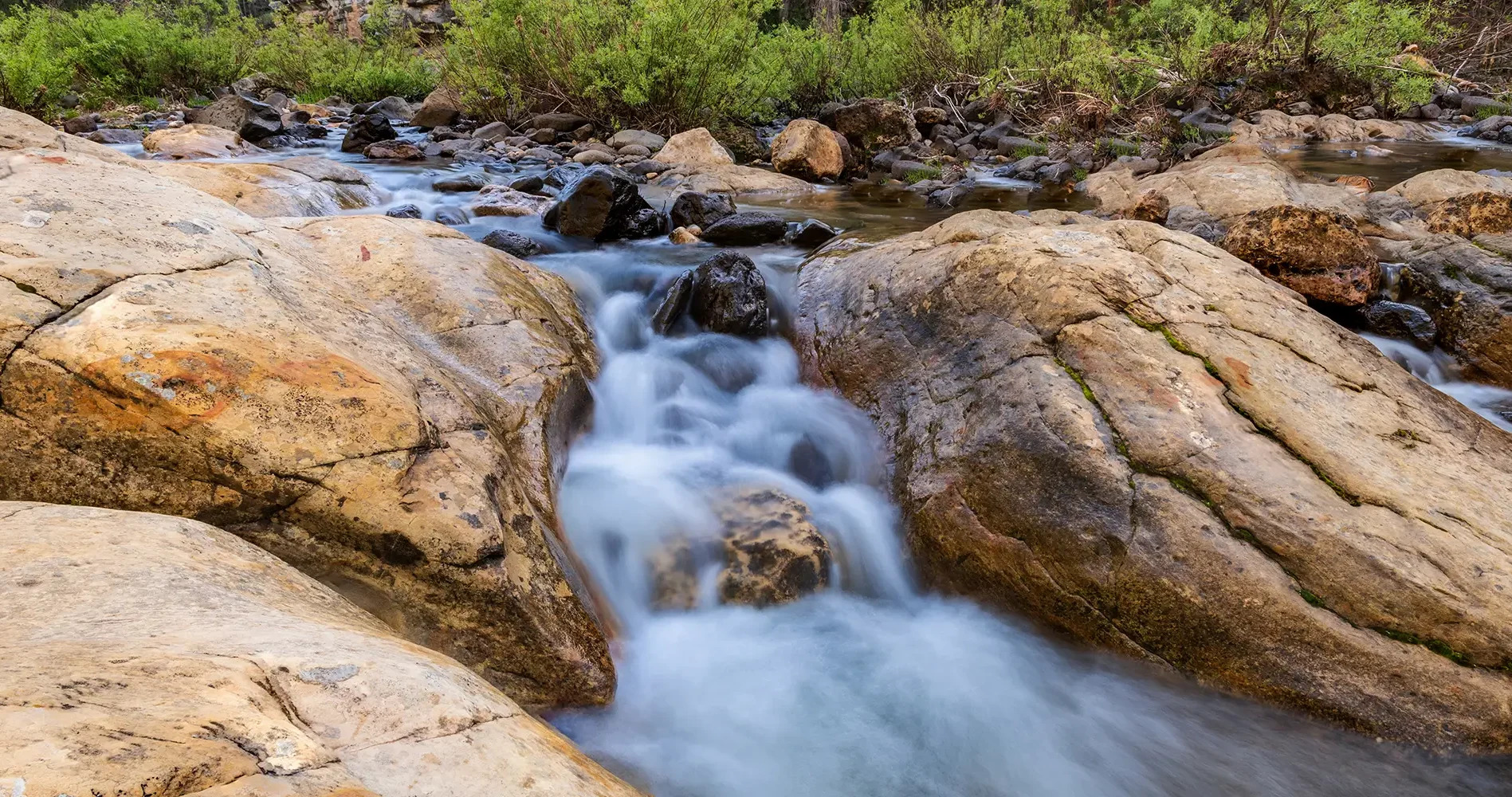 Sedona Spine Cover Image