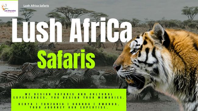 Best Safari Kenya and Tanzania | Lush Africa Safaris | PDF Host