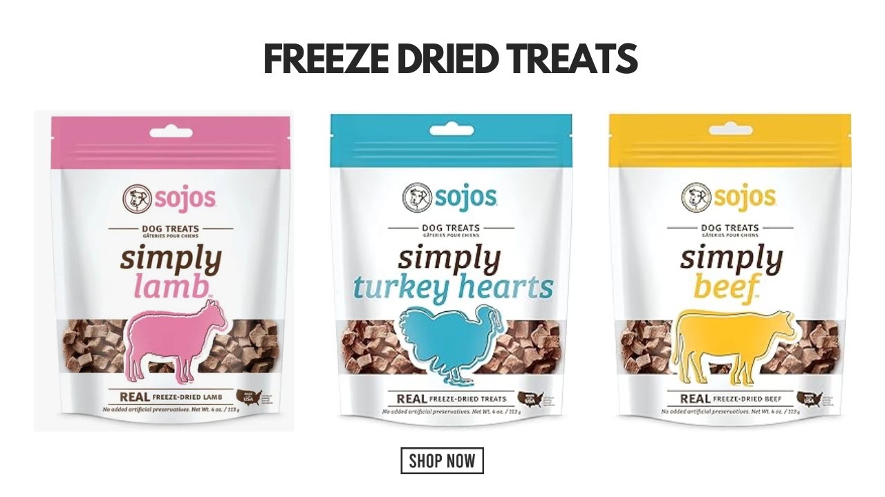 Why Freeze Dried Treats Are the Best Choice for Your Pet's Health and Happiness | Zupyak
