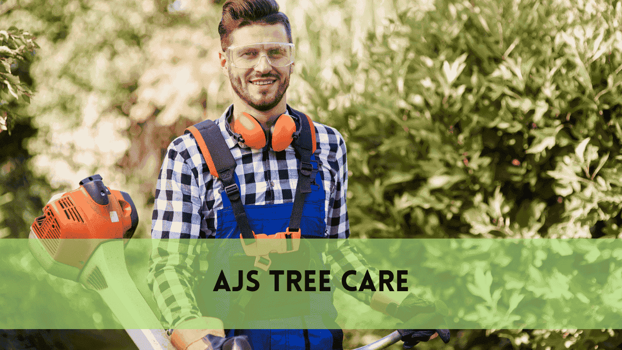ajstreecare Profile Picture
