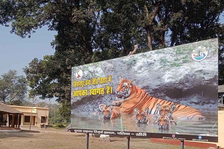 Kishanpur Wildlife Sanctuary - Safari, Eco Tours Near Pilibhit Tiger Reserve