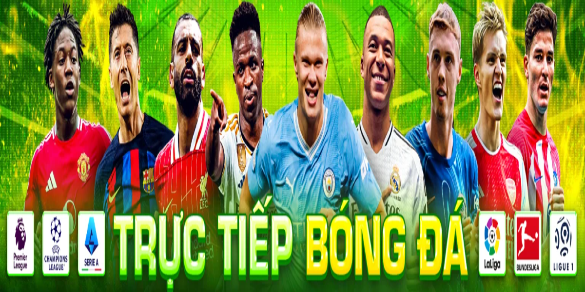 bssf team lua dao Cover Image