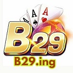 B 29 Profile Picture