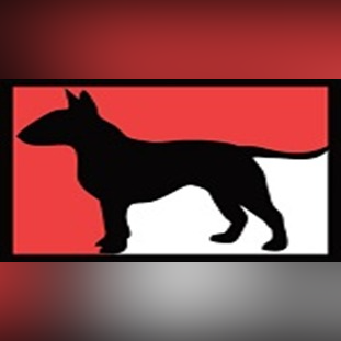 bossbullterriers Profile Picture