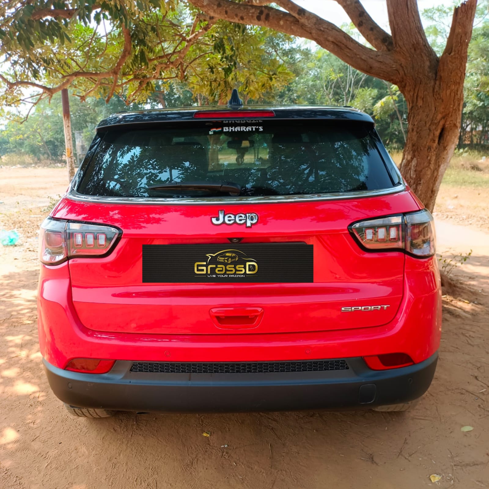 Grassd || Car Rental