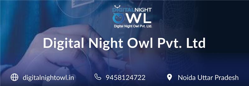 Digital Nightowl Cover Image