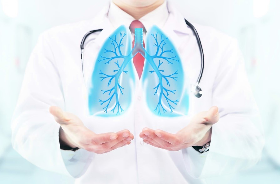 Pulmonology Assignment Writing Simplified - Insider Strategies for Academic Success - unitedfool.com