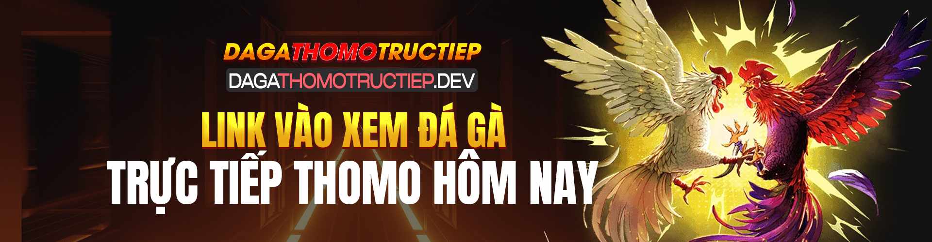 Đá gà thomo trực tiếp Cover Image