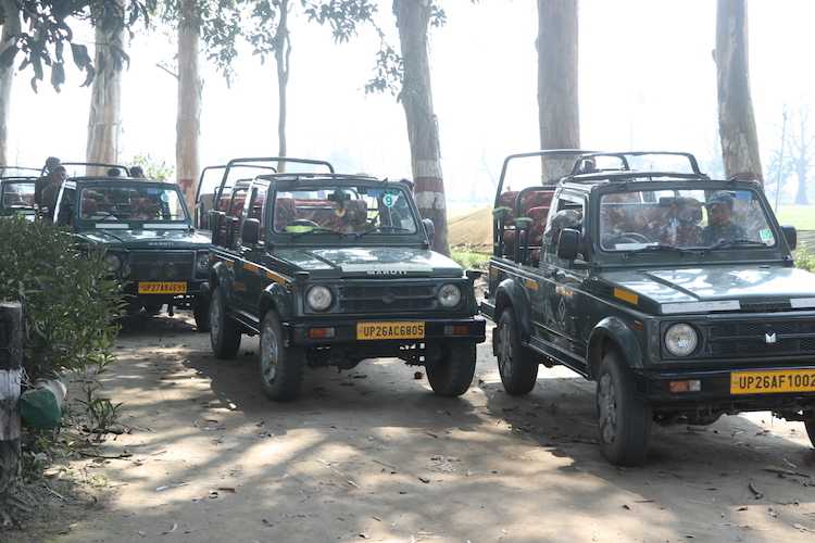 Dudhwa National Park | Online Jungle Jeep Safari Booking