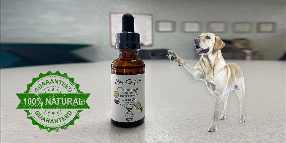 Pure For Life™ CBD Tincture for Pets, 500mg: Relax & Heal
