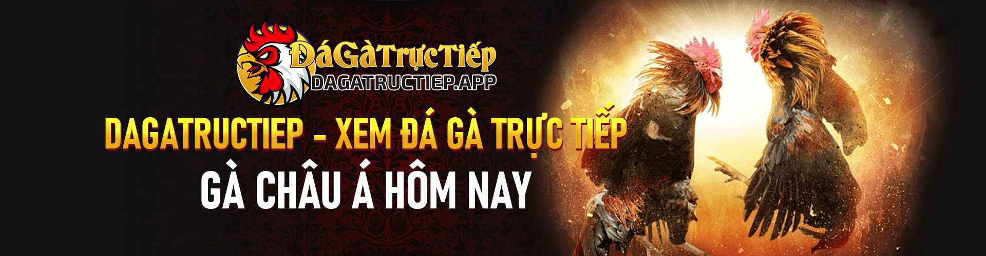 Đá gà trực tiếp Nền tảng xem đá gà Cover Image