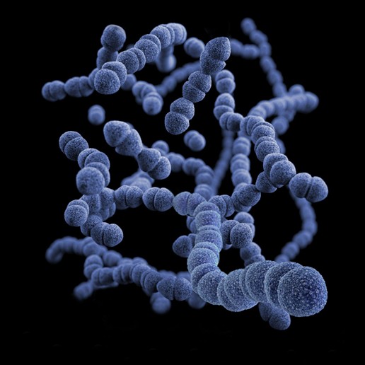 The Role of Gut Health in Preventing Childhood Obesity - NIROGGI
