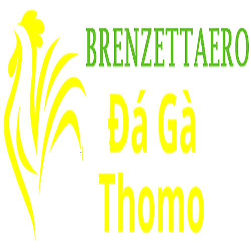Đá Gà Trực Tiếp Thomo Profile Picture