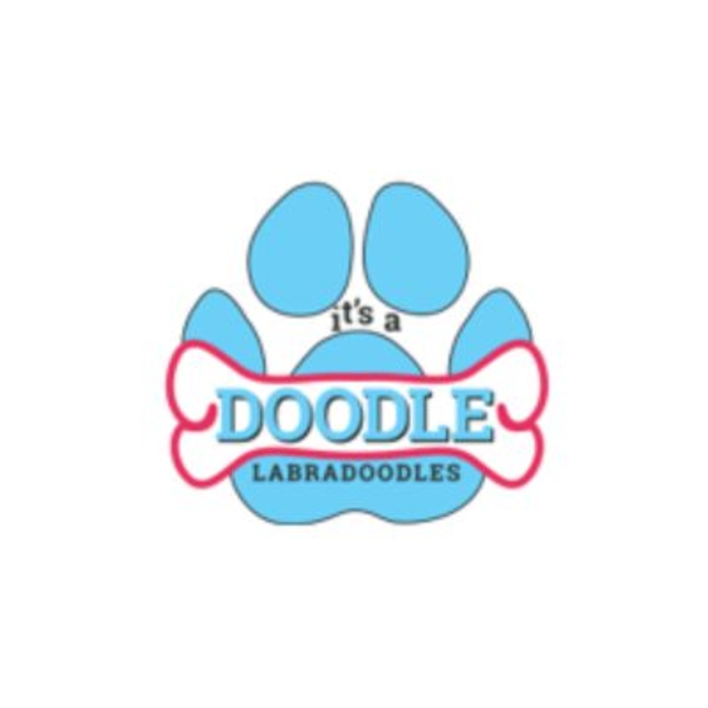 itsadoodlek Profile Picture