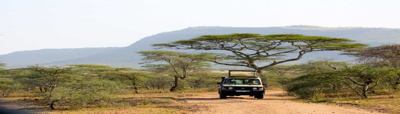vivaafricatours Cover Image