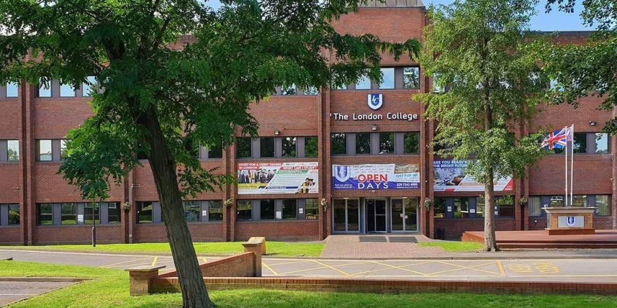 Finding the Best Colleges in My Area: A Personal Guide to Choosing the Right Path