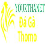 Đá Gà Trực Tiếp Thomo Profile Picture