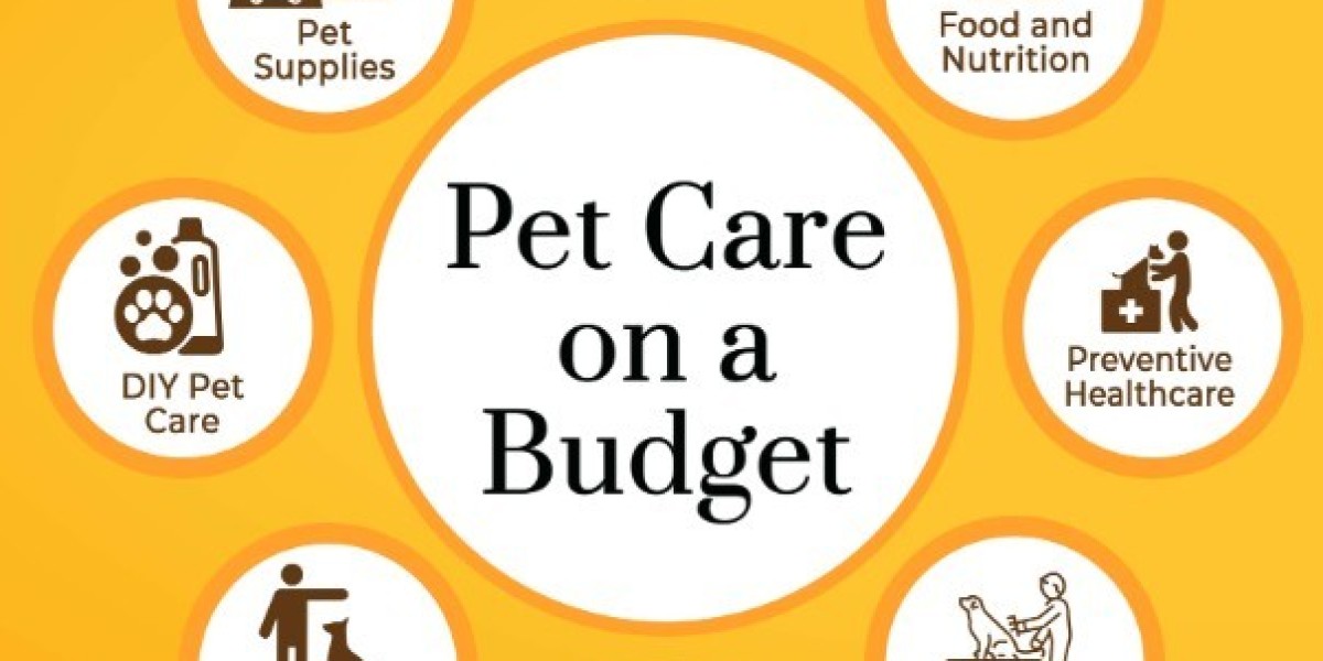 Trusted Veterinary Clinic in Vancouver | Killarney Animal Hospital