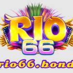 Rio66 Profile Picture