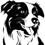 eazydogtraining Profile Picture
