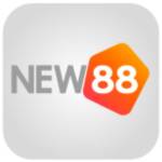 new883qn Profile Picture