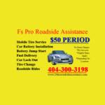 fs pro service Profile Picture
