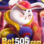 b505netbr Profile Picture