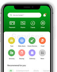 Complete Guide to Launching a Successful Gojek Clone - BlogPulseGuru