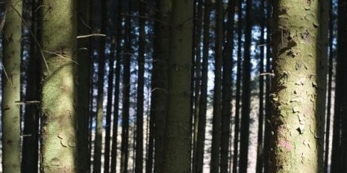 Article Picture