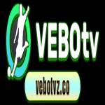 Vebotvz co Profile Picture