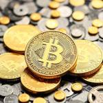 Crypto Support Profile Picture