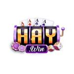 Haywin Sân chơi giải trí Profile Picture