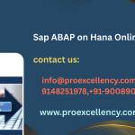 proexcellency Solutions Profile Picture