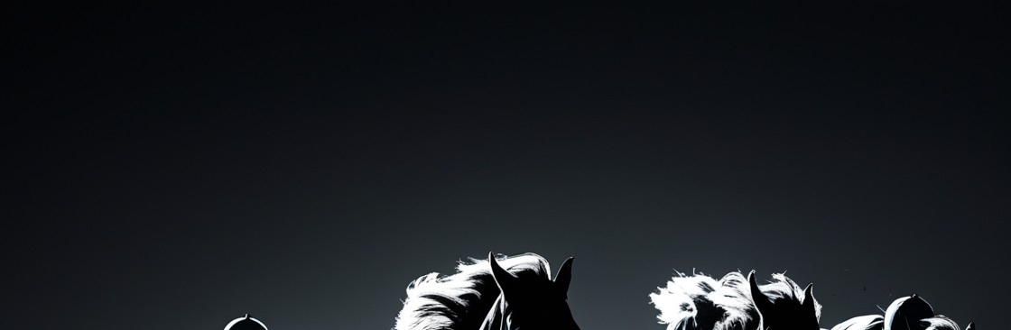 Joe Norris Tips Ltd Cover Image