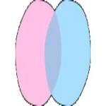 chatnederlands11 Profile Picture