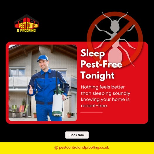 Belfast Pest Control, Rodent Control, Commercial Services