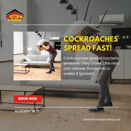 Pest Control Northern Ireland and Pest Control Belfast Cost | by Ni pest control and proofing | Aug, 2025 | Medium